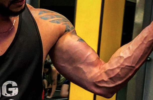 Programa Avaliação da Força-Resistência Muscular